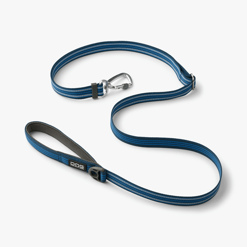 DC Urban Freestyle leash Ocean Blue