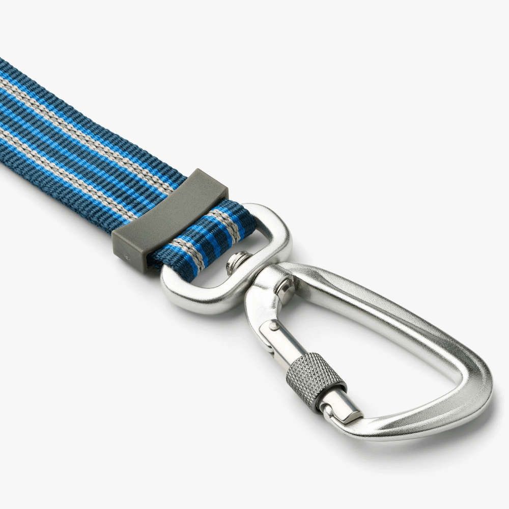 DC Urban Freestyle leash Ocean Blue - Slika 3