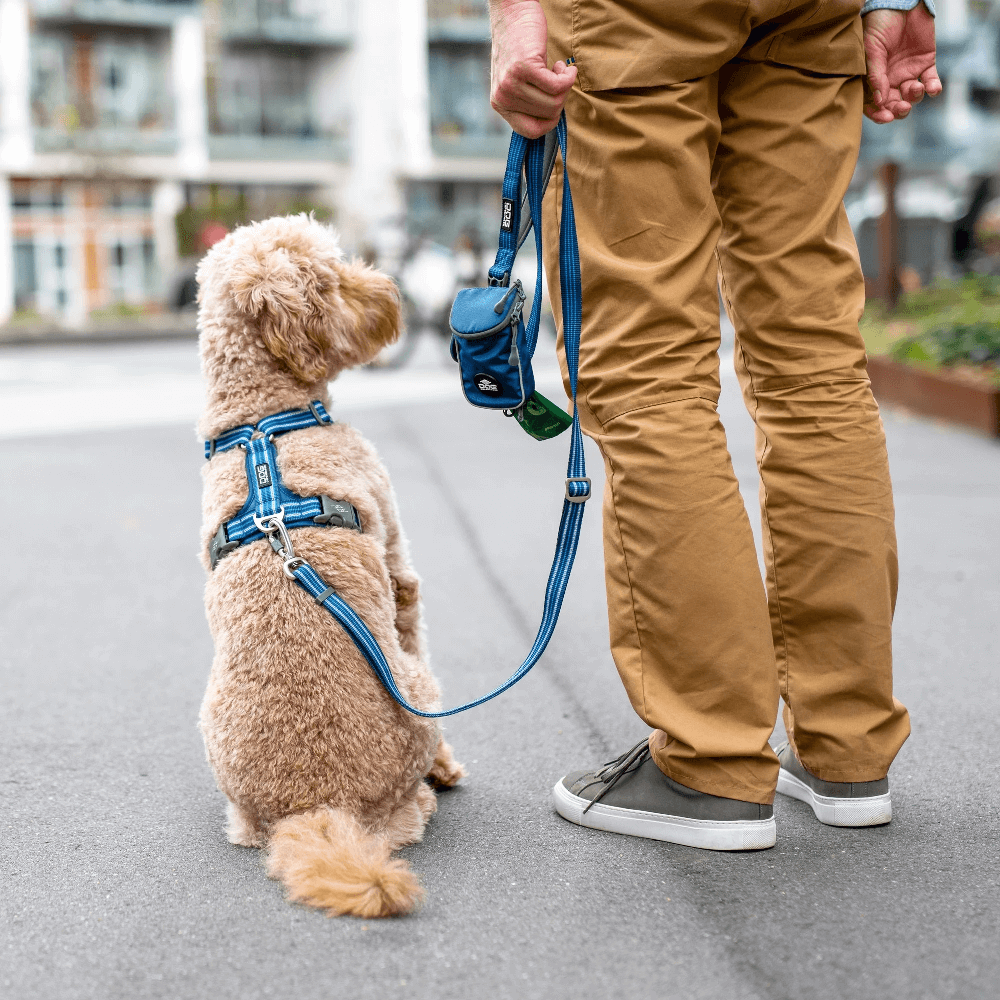DC Urban Freestyle leash Ocean Blue - Slika 6